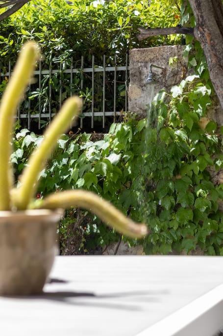 Il Giardino Tra Cielo E Mare Daire Porto Venere Dış mekan fotoğraf