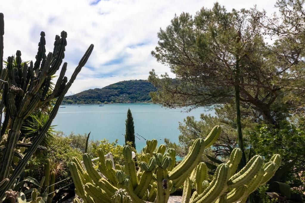 Il Giardino Tra Cielo E Mare Daire Porto Venere Dış mekan fotoğraf